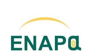 ENAPA - LOGO